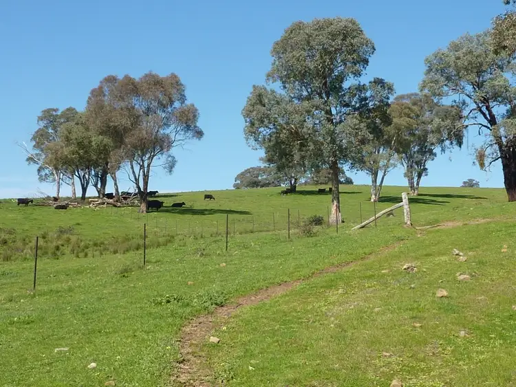 Fifth view of Homely rural property listing, 642 Westbrook Road, Tarcutta via, Wagga Wagga NSW 2650