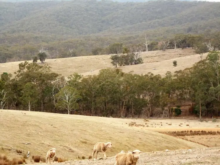 Sixth view of Homely land listing, 0 Landsborough Elmhurst Road, Landsborough VIC 3384
