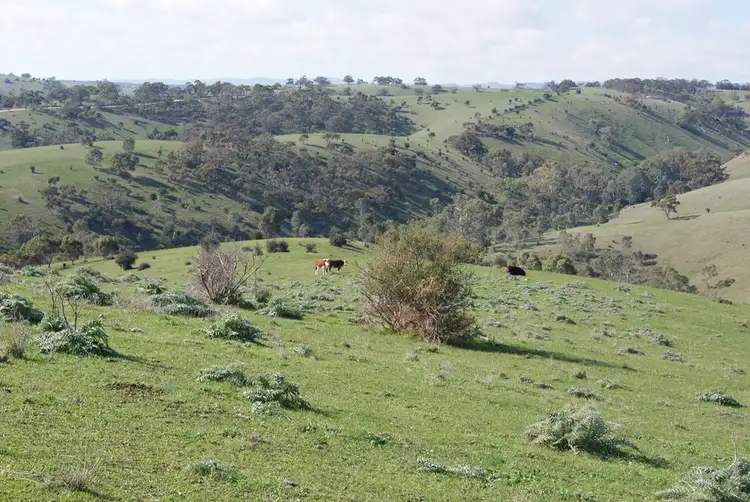 Sixth view of Homely land listing, Lot 13 Allendale Road, Kalbeeba SA 5118