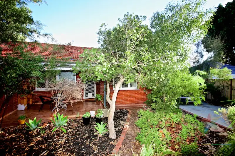 Main view of Homely house listing, 37 Kerwin Way, Lockridge WA 6054