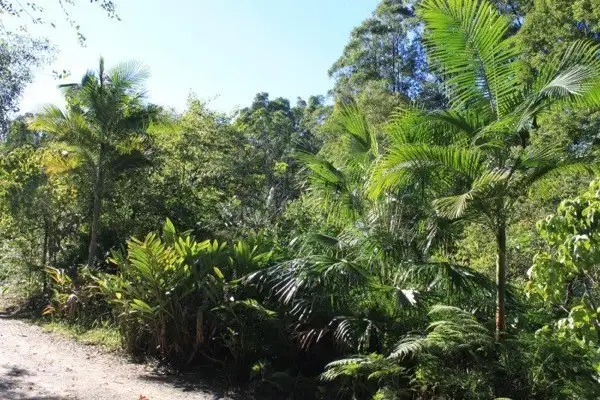 Seventh view of Homely land listing, 1 / 114 Maso Road, Rosebank NSW 2480