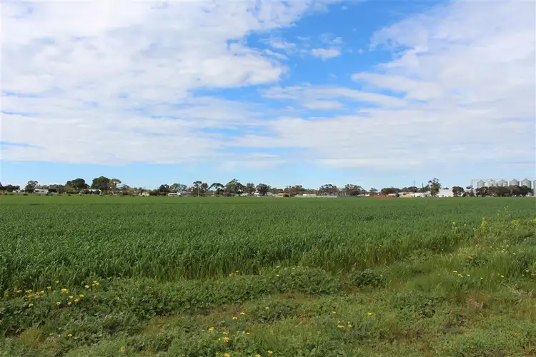 Sixth view of Homely land listing, Lot 21 Cannawigara Road, Bordertown SA 5268