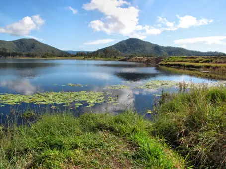 Second view of Homely rural property listing, 478 Lucas Paddock Road, Pinnacle QLD 4741