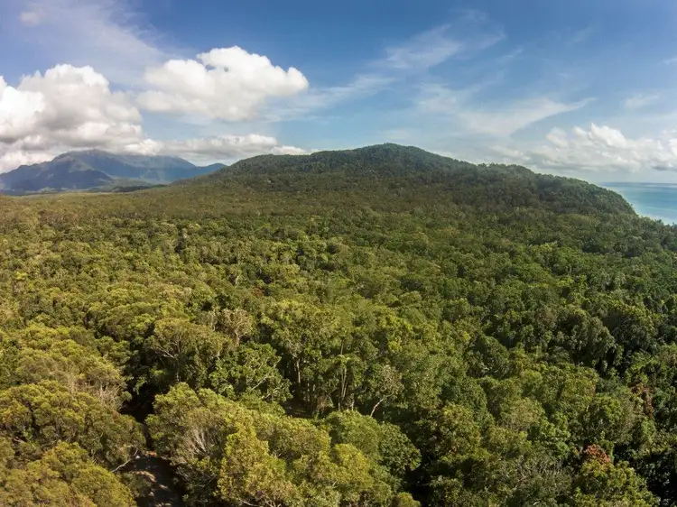 Fifth view of Homely land listing, Lot 259 Silver Ash Road (Cow Bay), Daintree QLD 4873