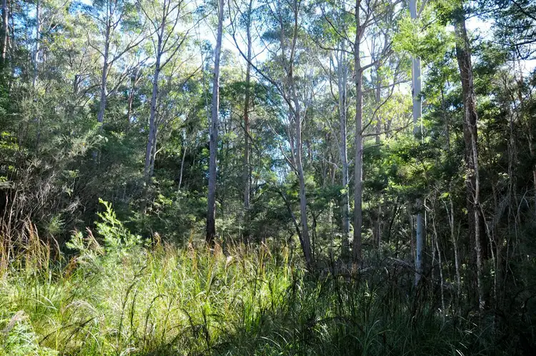 Third view of Homely land listing, 14 & 15 Pelican Road, St Georges Basin NSW 2540