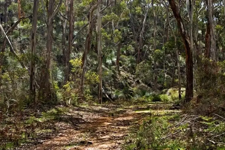 Third view of Homely rural property listing, Lot 302 Western River Road, Middle River SA 5223