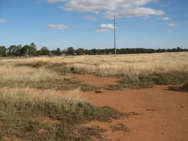 Third view of Homely land listing, Lot 1040 Back Trundle Road, Parkes NSW 2870