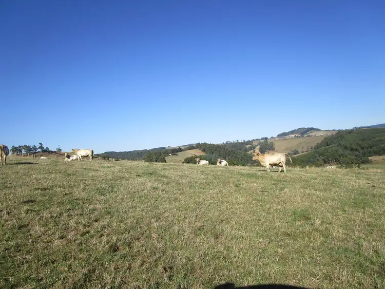 Fifth view of Homely rural property listing, 179 Isandula Road, Gawler TAS 7315