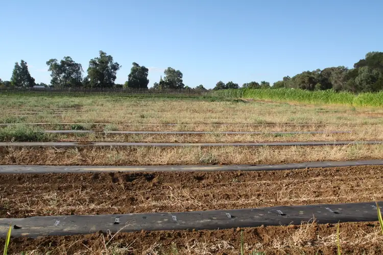 Third view of Homely house listing, 26 McFarlane Road, Waroona WA 6215