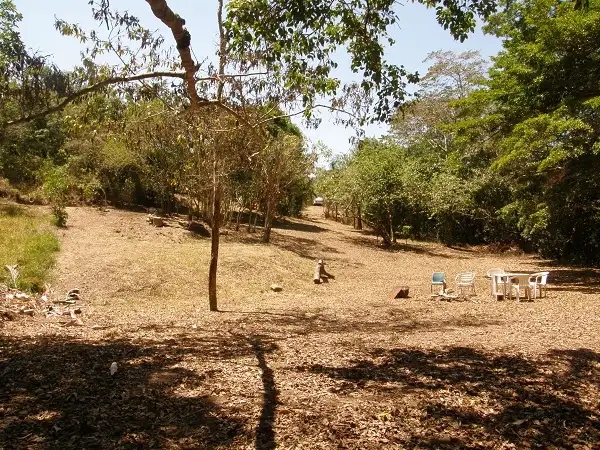 Main view of Homely land listing, Lot 5 Mountney Road, Strathdickie QLD 4800