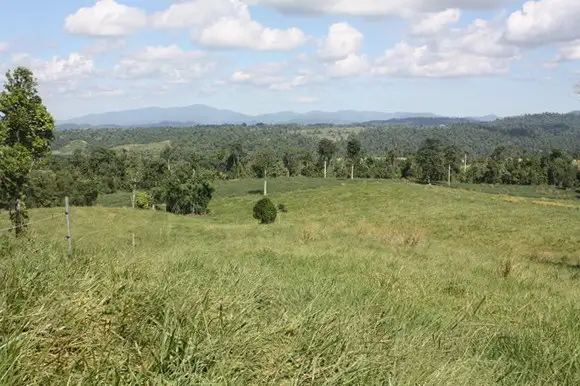 Third view of Homely rural property listing, Address available on request