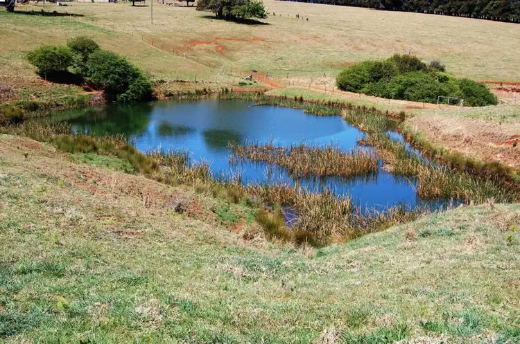 Seventh view of Homely rural property listing, Address available on request