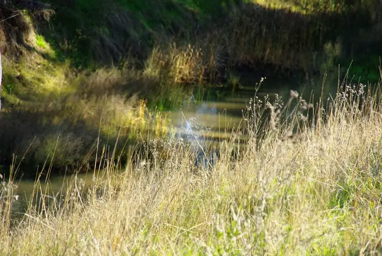 Sixth view of Homely rural property listing, 5L Gilgandra Road, Brocklehurst NSW 2830