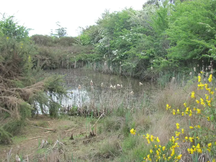 Third view of Homely land listing, Lot 1 Pensioners Row, Westbury TAS 7303