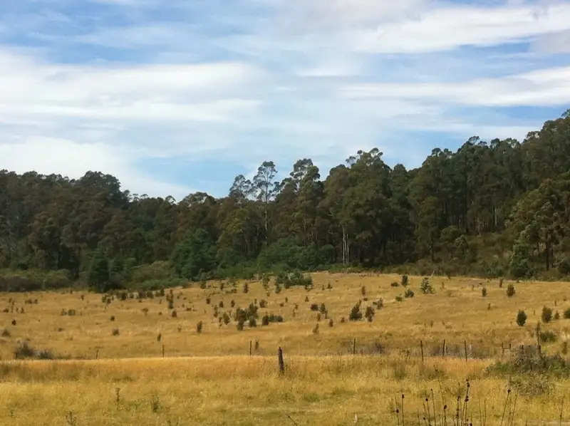 Main view of Homely land listing, 258 Bezzants Road, Nugent TAS 7172