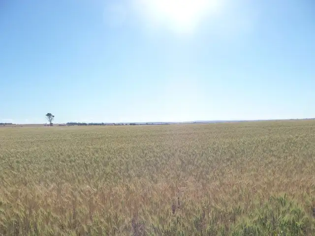 Sixth view of Homely rural property listing, Lot 801 Parker Road, York WA 6302