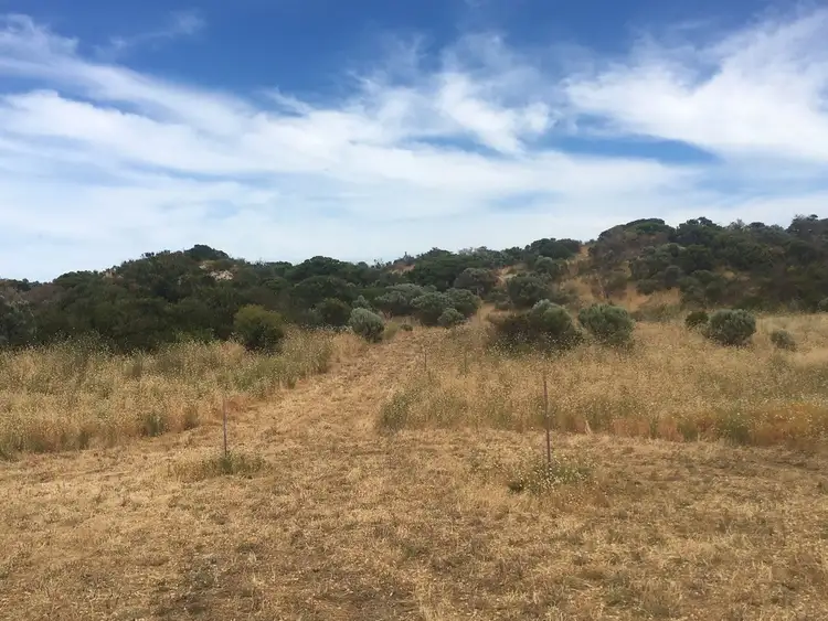 Fourth view of Homely rural property listing, Lot 12 Princes Highway, Kingston Se SA 5275
