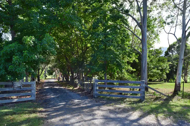 Main view of Homely house listing, 20 Ironbark Road, Tapitallee NSW 2540