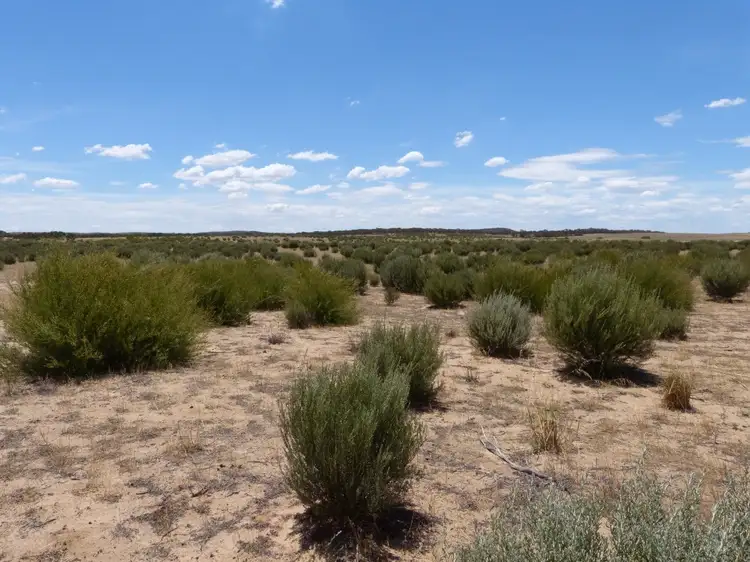 Second view of Homely rural property listing, 245 Mallee Hills Road, Lameroo SA 5302