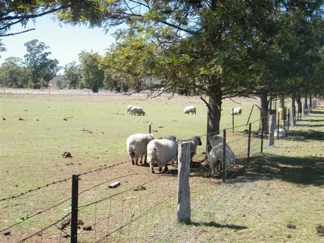 Second view of Homely rural property listing, "Jopeton" Nicholsons Lagoon Rd, Quirindi NSW 2343