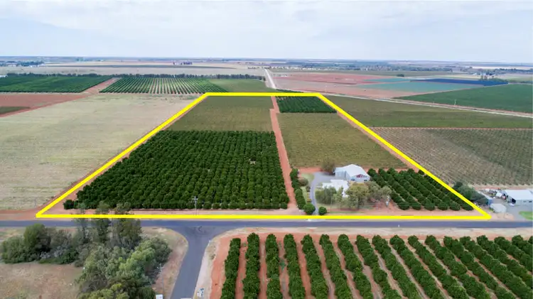 Main view of Homely rural property listing, 1716 White Road, Tharbogang NSW 2680