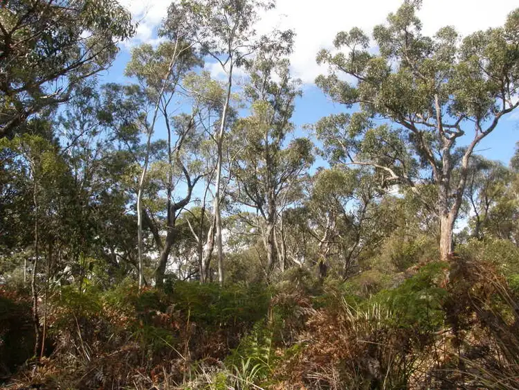 Fourth view of Homely land listing, Lot 2 Skeggs Ave, White Beach TAS 7184