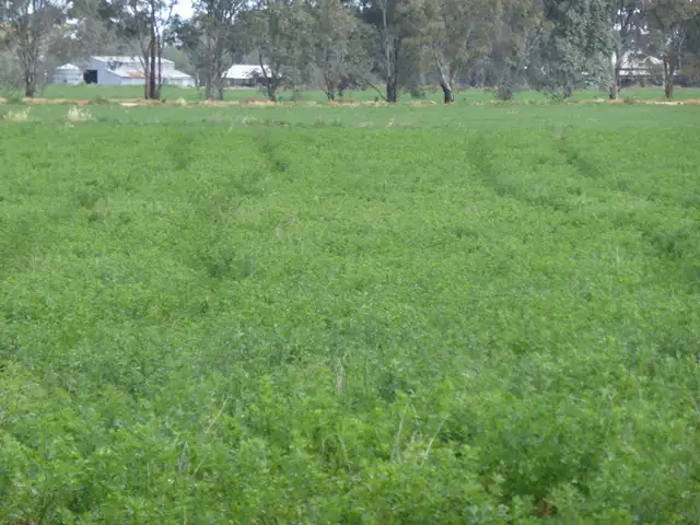 Sixth view of Homely rural property listing, | Kweong |, Finley NSW 2713