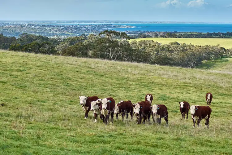Third view of Homely rural property listing, 460 Tugwell Road, Victor Harbor SA 5211
