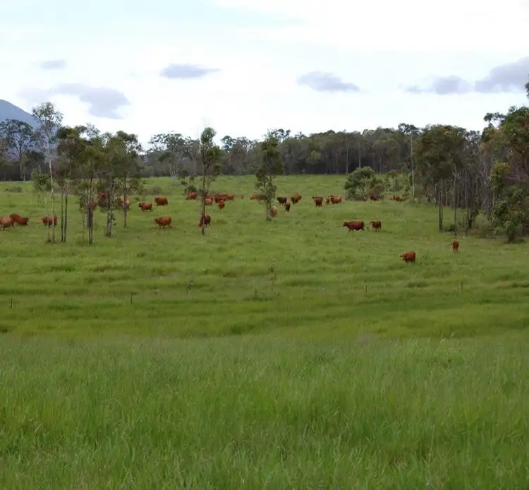 Second view of Homely rural property listing, JULATTEN PARK Euluma Creek Road, Julatten QLD 4871