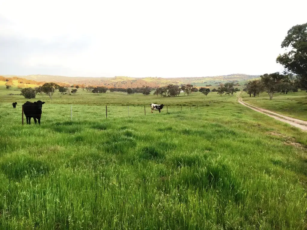 Main view of Homely rural property listing, "Dalveen" New England Highway, Bendemeer NSW 2355