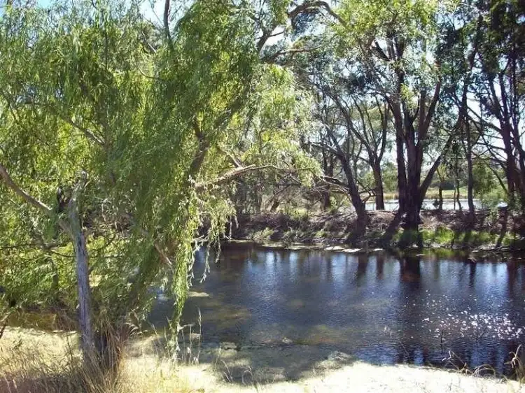 Third view of Homely rural property listing, 1340 Westernport Road, Heath Hill VIC 3981