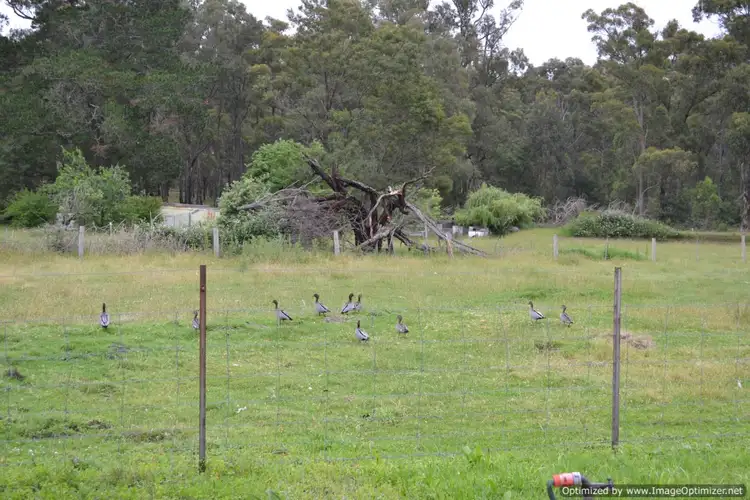 Fourth view of Homely house listing, 169 Great Alpine Road, Bruthen VIC 3885