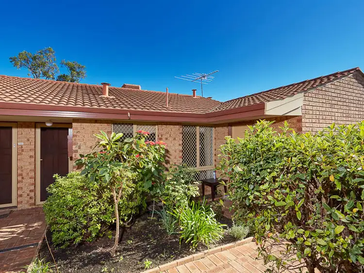 Main view of Homely unit listing, 24/11 Petterson Avenue, Samson WA 6163