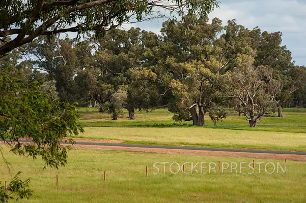 Seventh view of Homely land listing, Lot 211 Bourne Loop, Stratham WA 6237