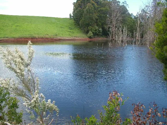 Fifth view of Homely rural property listing, 359 Cuprona Road, Cuprona TAS 7316