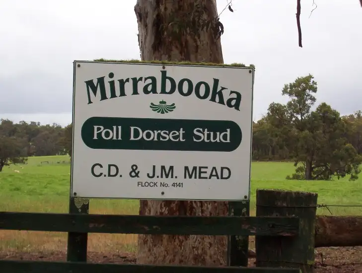 Main view of Homely rural property listing, Lot 5 Westbourne Rd, Scotts Brook, Boyup Brook WA 6244