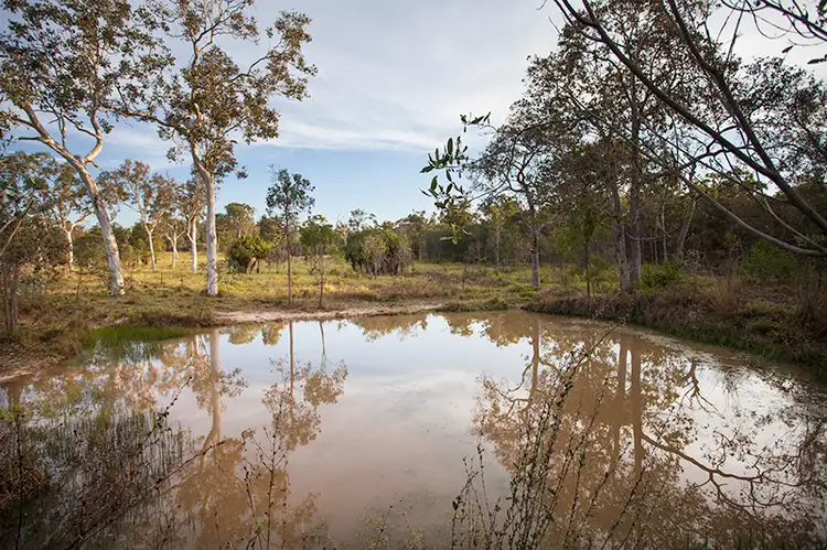 Fifth view of Homely rural property listing, 251 Bells Road, Palmyra QLD 4751