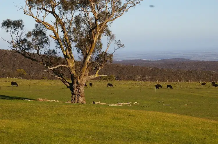 Second view of Homely land listing, 688 Mount Blackwood Road, Myrniong VIC 3341