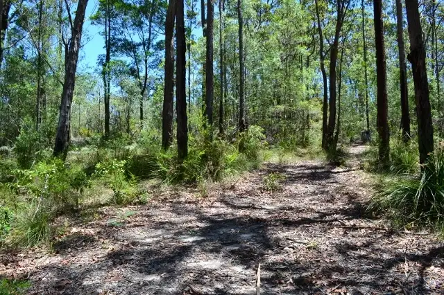 Fourth view of Homely land listing, Lot 81 Whipbird Drive, Ashby Heights NSW 2463