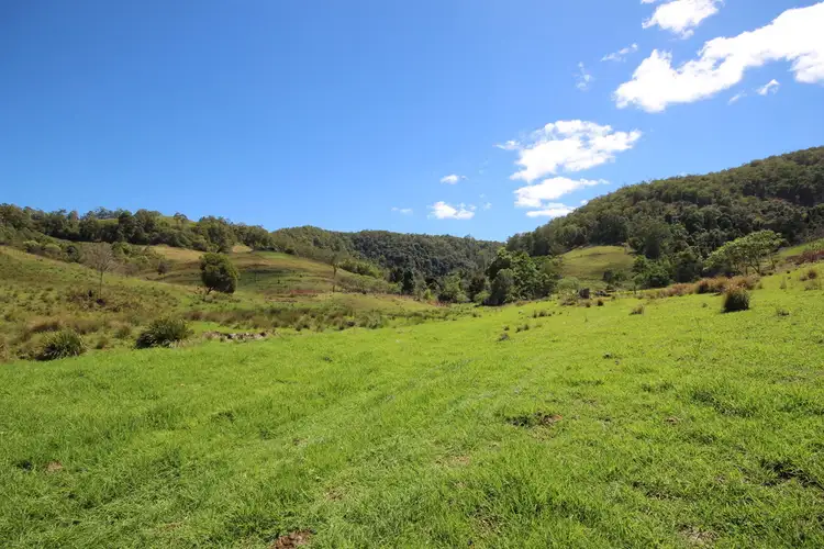 Seventh view of Homely rural property listing, Lot 133 Forbes River Road, Birdwood NSW 2446
