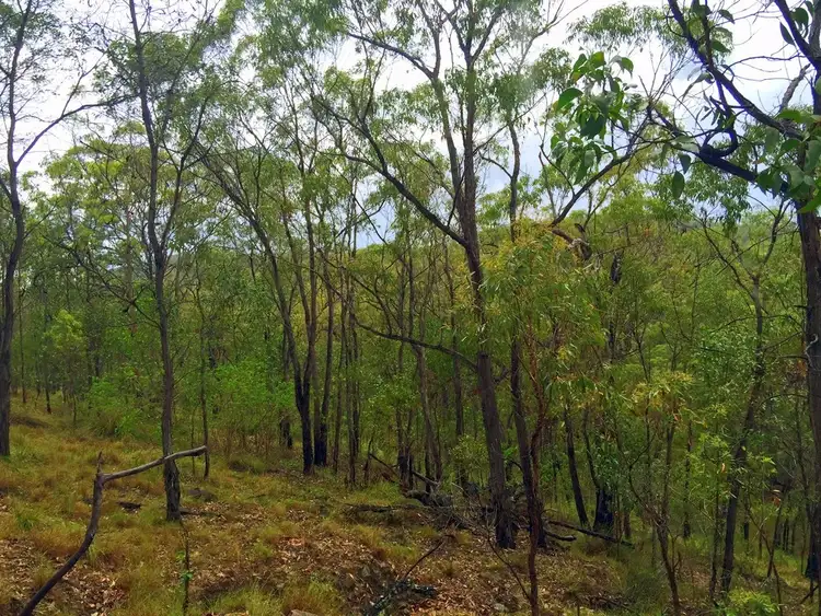 Sixth view of Homely land listing, 235 Murphy Road, Captain Creek QLD 4677
