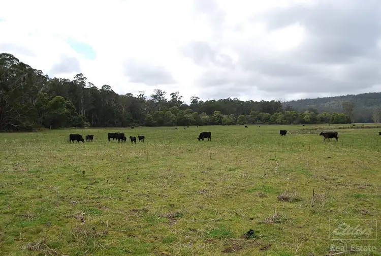Third view of Homely rural property listing, CA 15A Lower Tonghi Road, Cann River VIC 3890