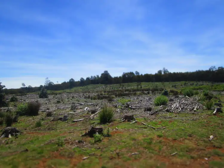 Seventh view of Homely rural property listing, 317 South Nietta Road, Nietta TAS 7315