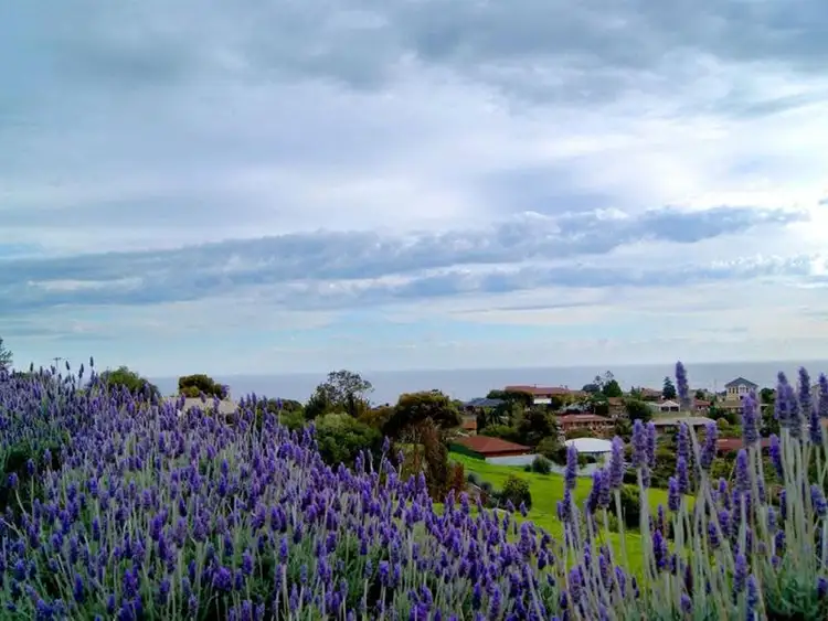 Third view of Homely land listing, 113 Perry Barr Road, Hallett Cove SA 5158