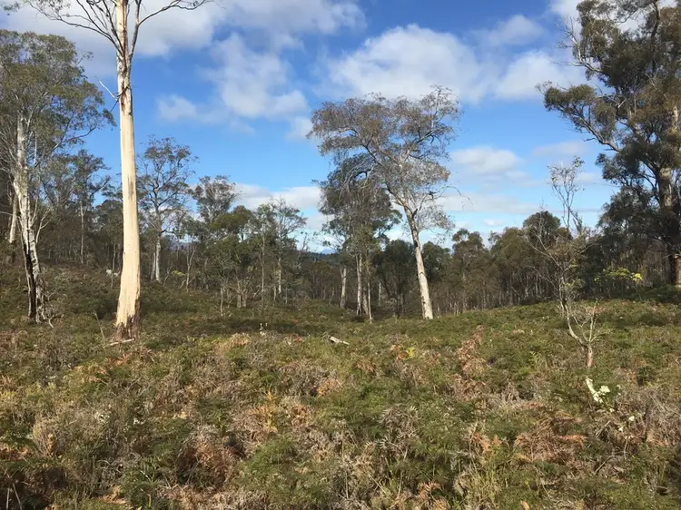 Second view of Homely land listing, 970 Marked Tree Road, Gretna TAS 7140