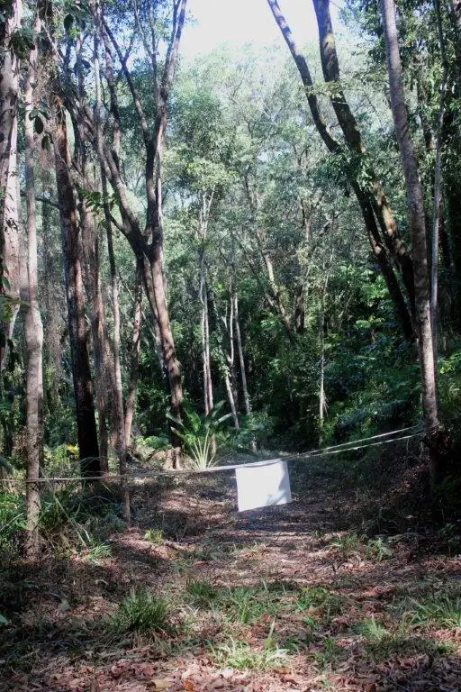 Sixth view of Homely land listing, Lot 38 Ronald Road FOREST CREEK, Daintree QLD 4873