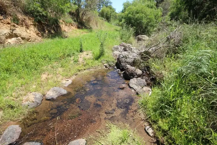 Seventh view of Homely rural property listing, 259 Tilbaroo Road, Elands NSW 2429