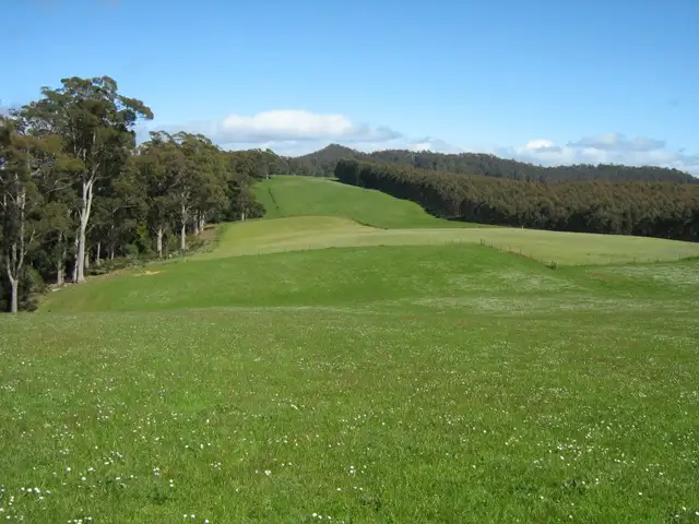 Sixth view of Homely rural property listing, 686 South Preston Road, Nietta TAS 7315