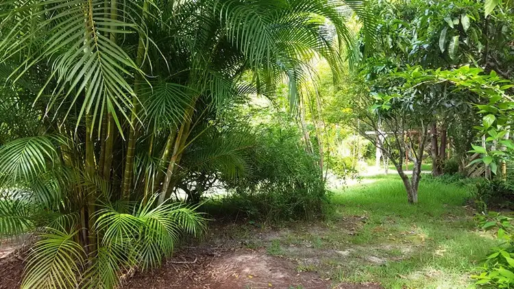 Seventh view of Homely other listing, 20 Swimming Creek Road, Nambucca Heads NSW 2448