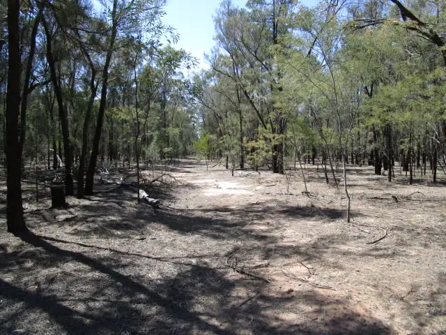 Sixth view of Homely rural property listing, LOT 19 BILLABONG LANE, Tara QLD 4421